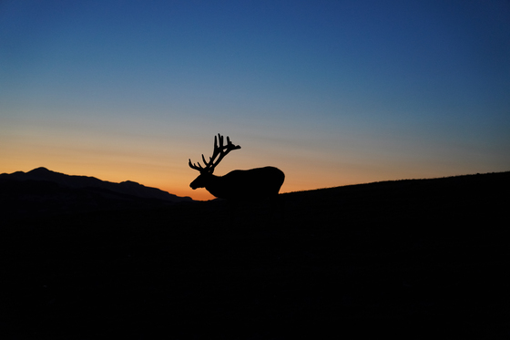 Rocky Mountain National Park