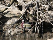 Mississippi National River & Recreation Area Minnesota