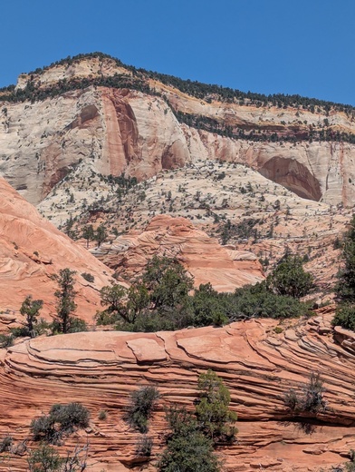 Zion National Park