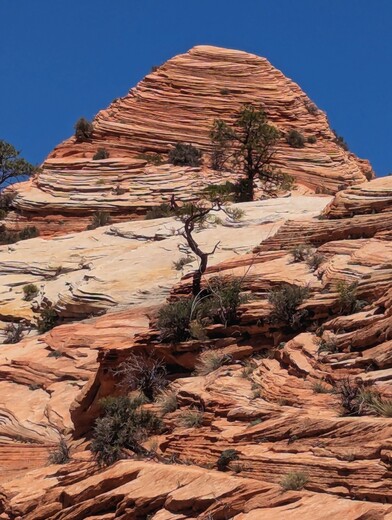Zion National Park