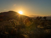 Joshua Tree National Park