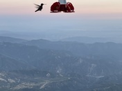 San Bernardino National Forest