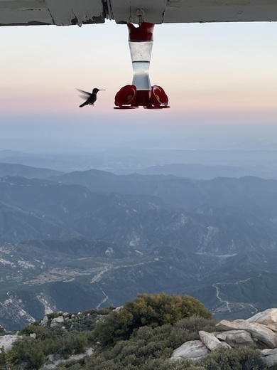 San Bernardino National Forest