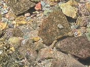 Mount Rainier National Park