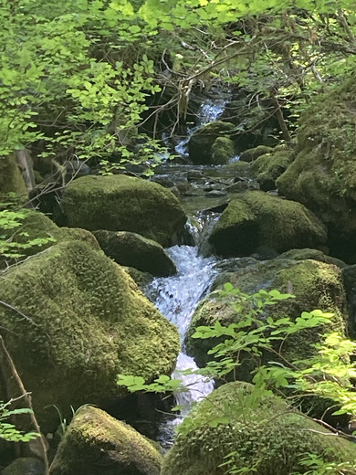 Mount Rainier National Park