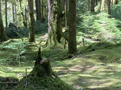 Olympic National Park
