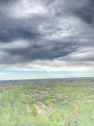 Theodore Roosevelt National Park