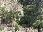 Devils Tower National Monument