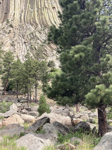 Devils Tower National Monument