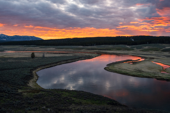 Yellowstone National Park