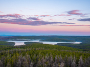 Medicine Bow National Forest