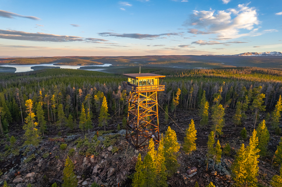 Medicine Bow-Routt National Forest