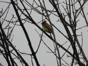 Journée au refuge marguerite d'youville
