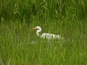 Journée au refuge marguerite d'youville