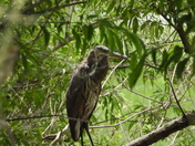Journée au refuge marguerite d'youville