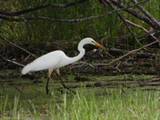 Journée au refuge marguerite d'youville