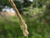 Journée au refuge marguerite d'youville