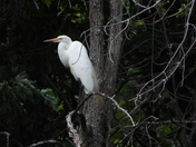 Journée au refuge marguerite d'youville