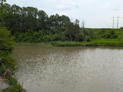 Catching Fish in the Wabi River 