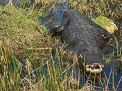 Everglades National Park