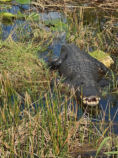 Everglades National Park