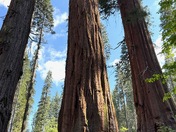 Yosemite National Park