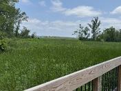 George Washington Memorial Parkway