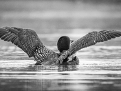 The Mombrella Shields Her Baby Loon