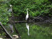 Sortie du 29 juin 2025 (observations of the 25 th of June 2025