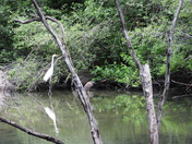 Sortie du 29 juin 2025 (observations of the 25 th of June 2025