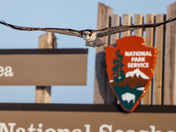 Gulf Islands National Seashore, Fort Pickens