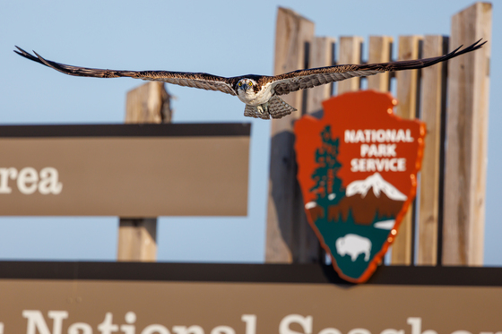 Gulf Islands National Seashore, Fort Pickens