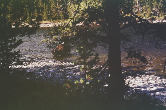 Yellowstone National Park