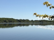 A peaceful day in Port Perry