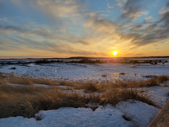 Parker River National Wildlife Refuge
