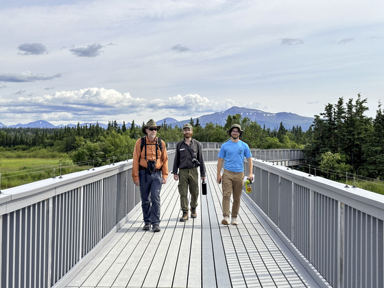 Katmai National Park and Preserve