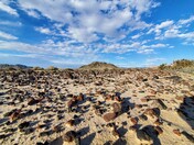 Mojave National Preserve