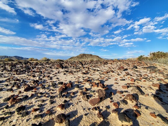 Mojave National Preserve