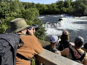 Katmai National Park and Preserve