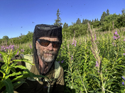 Katmai National Park and Preserve