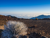 Haleakala National Park