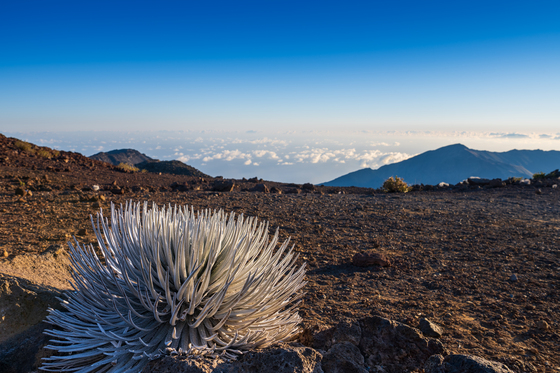 Haleakala National Park