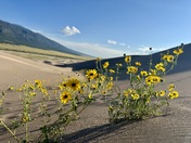 Great Sand Dunes National Park