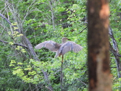 Levée du jour du 30 juin 2025 (sunrise on the 30 of June 2025)