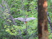 Levée du jour du 30 juin 2025 (sunrise on the 30 of June 2025)