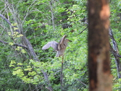 Levée du jour du 30 juin 2025 (sunrise on the 30 of June 2025)