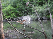 Levée du jour du 30 juin 2025 (sunrise on the 30 of June 2025)