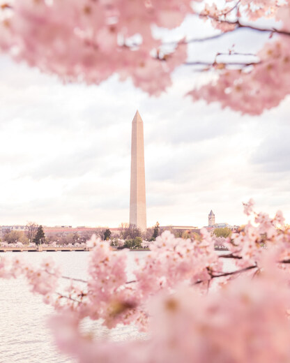 National Mall and Memorial Park