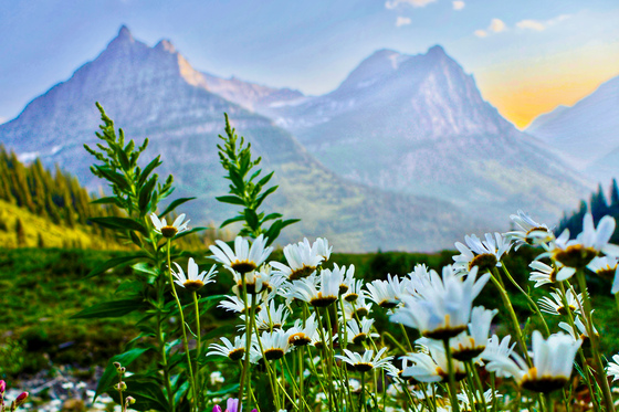 Glacier National Park