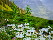 Glacier National Park